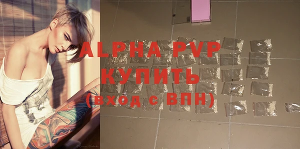 шишки Горняк