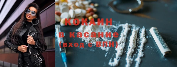 шишки Горняк