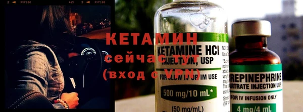 шишки Горняк