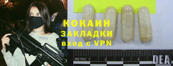 шишки Горняк