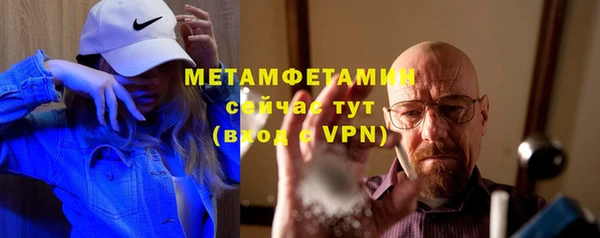 шишки Горняк