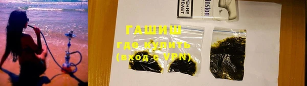 шишки Горняк