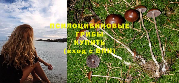 шишки Горняк