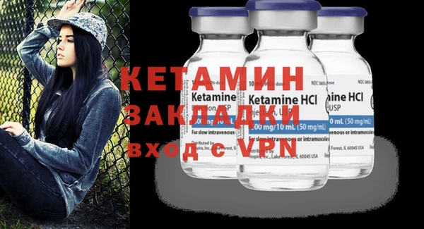 шишки Горняк