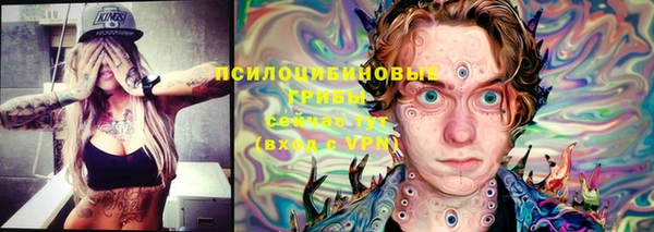 кристаллы Горнозаводск