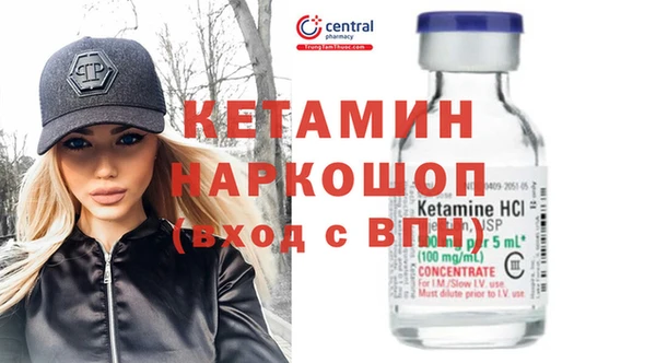 шишки Горняк