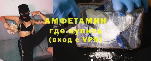 шишки Горняк