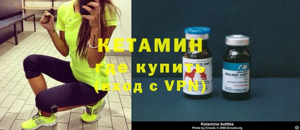 шишки Горняк